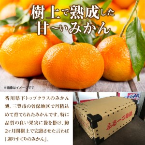 【ふるさと納税】ふるーつ物語 越冬完熟 「袋掛けみかん」 約7kg