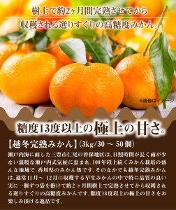 ふるーつ物語「越冬完熟みかん」約3kg（30～50個入り） フルーツ ふるーつ 果物 くだもの 三豊市【配送不可地域：北海道・沖縄県・離島】_M02-0031 【国産みかん 温州みかん みかん 露地みかん 小玉みかん ミカン 蜜柑 甘いみかん おすすめみかん】