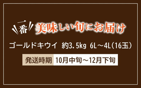 【ふるさと納税】【締め切り間近: 11月30日まで】【先行予約】 【配送不可地域:北海道・沖縄県・離島】さぬきゴールドキウイ 「黄様(おうさま)」 大玉約3.5kg 秋 旬
