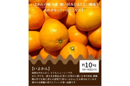 【ふるさと納税】三豊市産いよかん 約10kg
