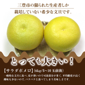 【ふるさと納税】サラダポメロ　約6kg（3～8玉前後）