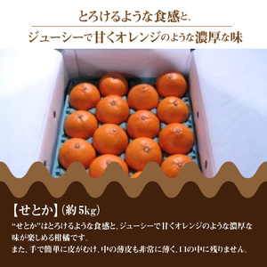 三豊市産せとか 約5kg フルーツ ふるーつ 果物 くだもの 三豊市【配送不可地域：北海道・沖縄県・離島】_M02-0090 【国産みかん 温州みかん みかん 露地みかん 小玉みかん ミカン 蜜柑 甘いみかん おすすめみかん】