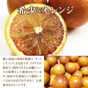 【ふるさと納税】国産希少オレンジ 「ブラッドオレンジ」 約5kg