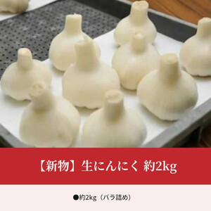 【ふるさと納税】【新物】生にんにく 約2kg