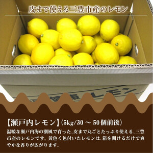 三豊市産瀬戸内 れもん レモン 檸檬 約５kg（30～50個前後） フルーツ ふるーつ 果物 くだもの 三豊市【配送不可地域：北海道・沖縄県・離島】_M02-0018