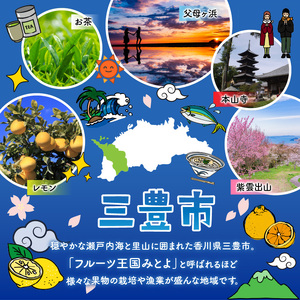 オリーブ焙茶(香川県産オリーブ葉使用）×４袋セット_M01-0005