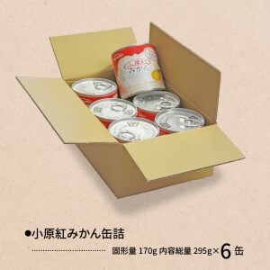 小原紅みかん缶詰 6缶セット_M08-0010