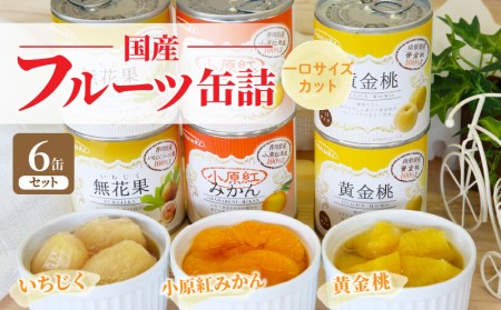 国産フルーツ缶詰 6缶セット 香川県三豊市 ふるさと納税サイト ふるなび