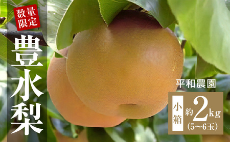 【ふるさと納税】【配送不可地域：北海道・沖縄県・離島】 数量限定！平和農園 豊水梨 小箱（5～6玉）＜約２kg＞