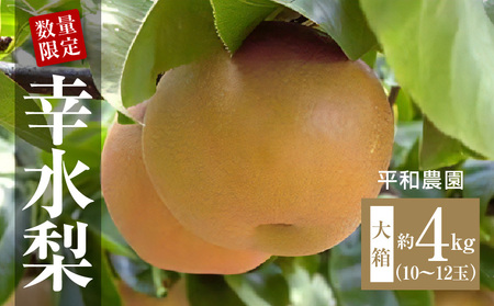 数量限定！平和農園 幸水梨 大箱（10～12玉）＜約４kg＞_M32-0005