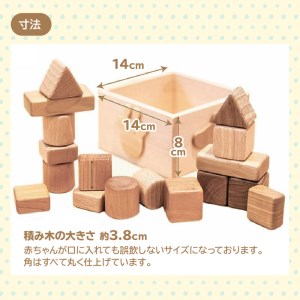 『皇室御愛用品 』木のおもちゃ 赤ちゃんの積み木スペシャル_M05-0011
