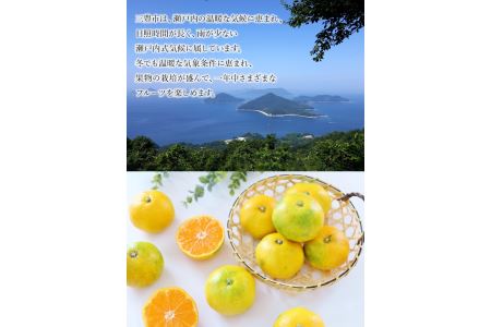 みかん 三豊市産 極上【ゆら早生みかん 約5kg】S～Mサイズ【10月中旬より発送】