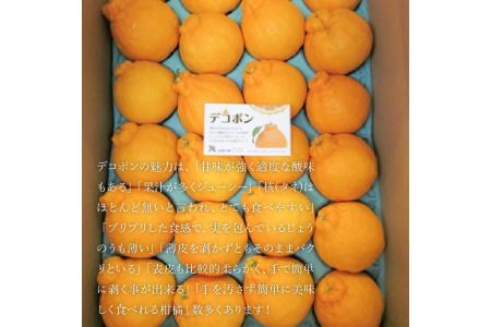 【2025年 先行予約】【配送不可地域:北海道・沖縄県・離島】三豊市産【市場直送 デコポン 5kg以上】 17000円