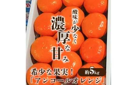 希少な果実!「アンコールオレンジ」 約5kg