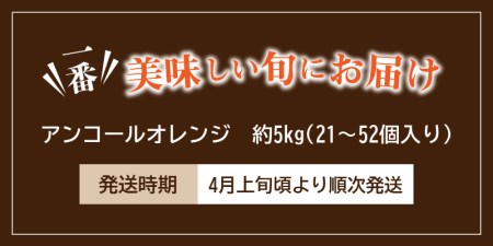 希少な果実!「アンコールオレンジ」 約5kg