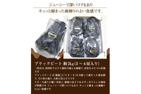 先行予約】新品種ぶどう「ブラックビート」 約2kg_M02-0063 | 香川県