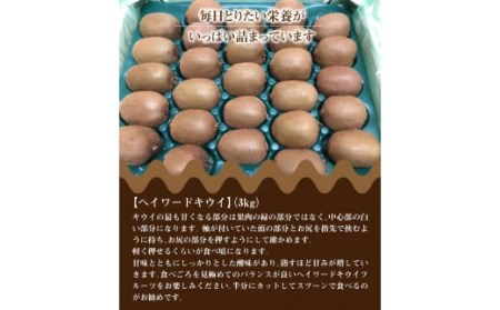曽根果樹園のヘイワードキウイ約3kg(24～33玉入り)