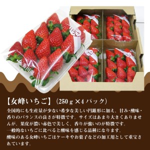 【ふるさと納税】三豊のいちご食べ比べセット(1月以降発送)