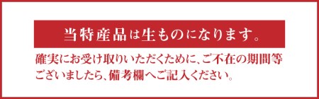 【ふるさと納税】三豊のいちご食べ比べセット(1月以降発送)