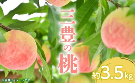 【先行予約】桃 もも 果物 フルーツ とろける果肉 「三豊の桃」 約3.5kg_M02-0052