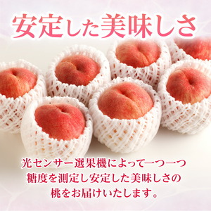 【先行予約】桃 もも 果物 フルーツ とろける果肉 「三豊の桃」 約3.5kg_M02-0052