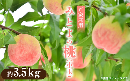 【先行予約】【期間限定】桃 もも 果物 フルーツ みとよの桃 (小玉) 約3.5kg_M02-0127
