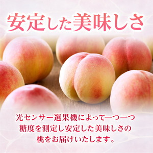 【先行予約】【期間限定】桃 もも 果物 フルーツ みとよの桃 (小玉) 約3.5kg_M02-0127