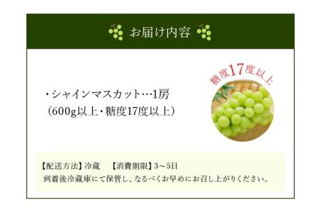 【先行予約】シャインマスカット1房【600ｇ以上】【糖度17度以上】【配送不可地域：北海道・沖縄県・離島】_M64-0008 シャインマスカット