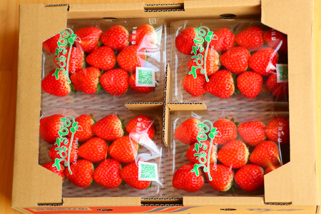 【2024年分】【1月中旬より発送】三豊市産【市場直送 さぬきひめ 2.0kg以上】