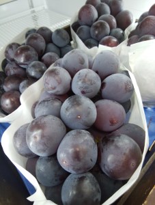 【7月中旬から】【さぬき讃フルーツ】シャインマスカット＆NEWピオーネ詰め合わせ