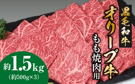 黒毛和牛オリーブ牛 もも焼肉用 約500ｇ×3_M18-0026　黒毛和牛 オリーブ牛 もも 牛もも 焼肉 焼き肉 やきにく 牛肉 肉 牛 国産 国産牛 冷凍