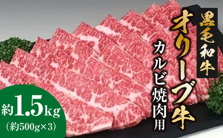 黒毛和牛オリーブ牛 カルビ焼肉用 約500ｇ×3_M18-0027　黒毛和牛 オリーブ牛 カルビ 牛カルビ 焼肉 焼き肉 やきにく 牛肉 肉 牛 国産 国産牛 冷凍