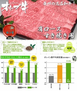 黒毛和牛オリーブ牛 肩ロースすき焼き用 約500ｇ×3_M18-0031　牛肉 すき焼き 肉