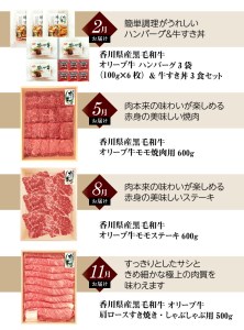 オリーブ牛お試し肉セット（全4回）【定期便】_M04-0068