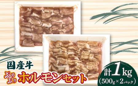 国産牛ぷりぷりホルモンセット