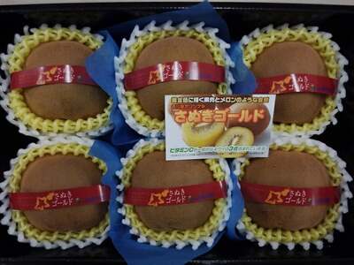 【ふるさと納税】【10月下旬より】さぬきゴールドキウイ「黄様」超大玉6個入り×2箱【ギフト可】