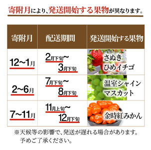 三豊市産 人気の厳選フルーツ定期便（年3回）_M02-0134