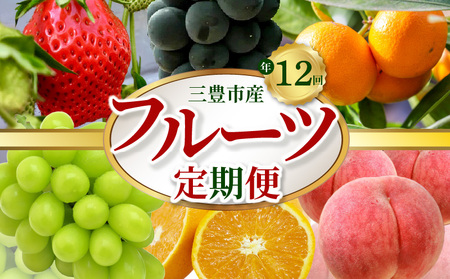 フルーツ 定期便 年12回 果物 キウイ みかん せとか いちご 甘夏 びわ 仁尾 桃 ピオーネ シャインマスカット 早生みかん ゴールドキウイ 1年間 旬 _M02-0135