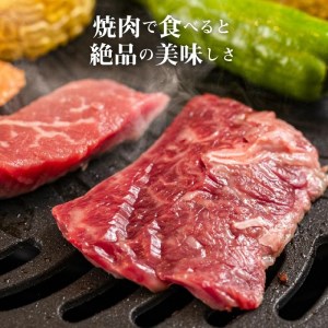 【ふるさと納税】焼肉セット4品_M04-0115