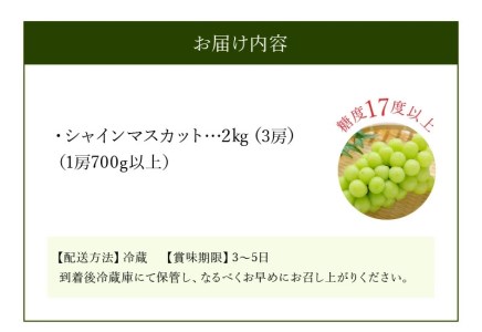 【先行予約】シャインマスカット2kg（3房）【700g以上】【糖度17度以上】【配送不可地域：北海道・沖縄県・離島】_M64-0034 シャインマスカット