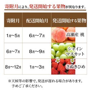 産地厳選三豊のフルーツ３回定期便D フルーツ ふるーつ 果物 くだもの 三豊市【配送不可地域：北海道・沖縄県・離島】_M64-0038   フルーツ定期便 旬のフルーツセット / フルーツ 定期便 ふるーつ定期便 フルーツ 詰め合わせ 果物定期便 春フルーツ 夏フルーツ 秋フルーツ 冬フルーツ