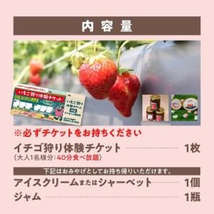 イチゴ狩り体験＆おみやげ2点セット_M103-0001