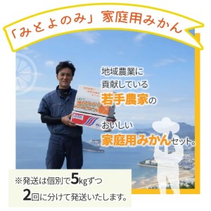 香川県オリジナル品種の小原紅みかんと「みとよのみ」みかん食べ比べセット（2回お届け）【2024年出荷分の予約受付】_M67-0008-2024　【国産みかん 温州みかん みかん 露地みかん 小玉みかん ミカン 蜜柑 甘いみかん おすすめみかん】