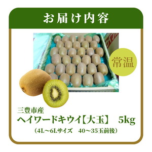 三豊市産 ヘイワードキウイ【大玉】5kg(4L~6Lサイズ 40~35玉前後)