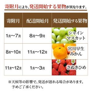 産地厳選三豊のフルーツ3回定期便 L