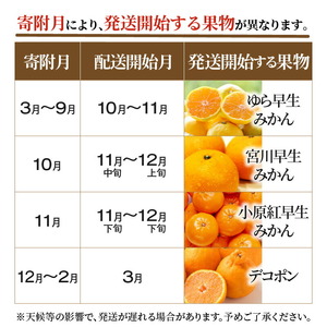 産地厳選三豊のフルーツ4回定期便 H