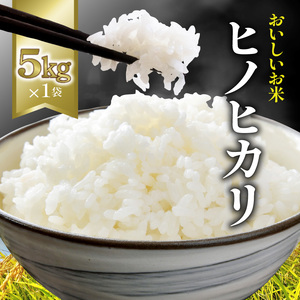【ふるさと納税】お米　おこめ　コスパ　 ヒノヒカリ 5kg 1袋 コシヒカリの子孫 米 瀬戸内 白米 精米 白ご飯 ごはん おにぎり 食品 料理 国産 香川県 三豊市 お取り寄せグルメ お取り寄せ 送料無料  秋 旬