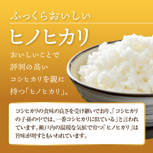 【ふるさと納税】お米　おこめ　コスパ　 ヒノヒカリ 5kg 1袋 コシヒカリの子孫 米 瀬戸内 白米 精米 白ご飯 ごはん おにぎり 食品 料理 国産 香川県 三豊市 お取り寄せグルメ お取り寄せ 送料無料  秋 旬