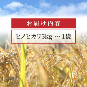 【ふるさと納税】お米　おこめ　コスパ　 ヒノヒカリ 5kg 1袋 コシヒカリの子孫 米 瀬戸内 白米 精米 白ご飯 ごはん おにぎり 食品 料理 国産 香川県 三豊市 お取り寄せグルメ お取り寄せ 送料無料  秋 旬