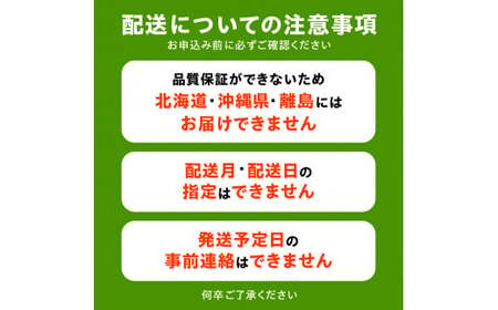 三豊市産 人気の厳選フルーツ定期便R （年4回）_M02-0201